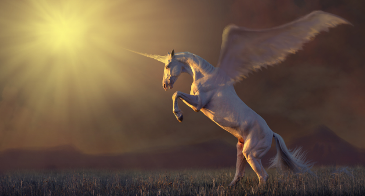 3 Ways Financial Services Companies Can Resolve the Unicorn Drought in Australia